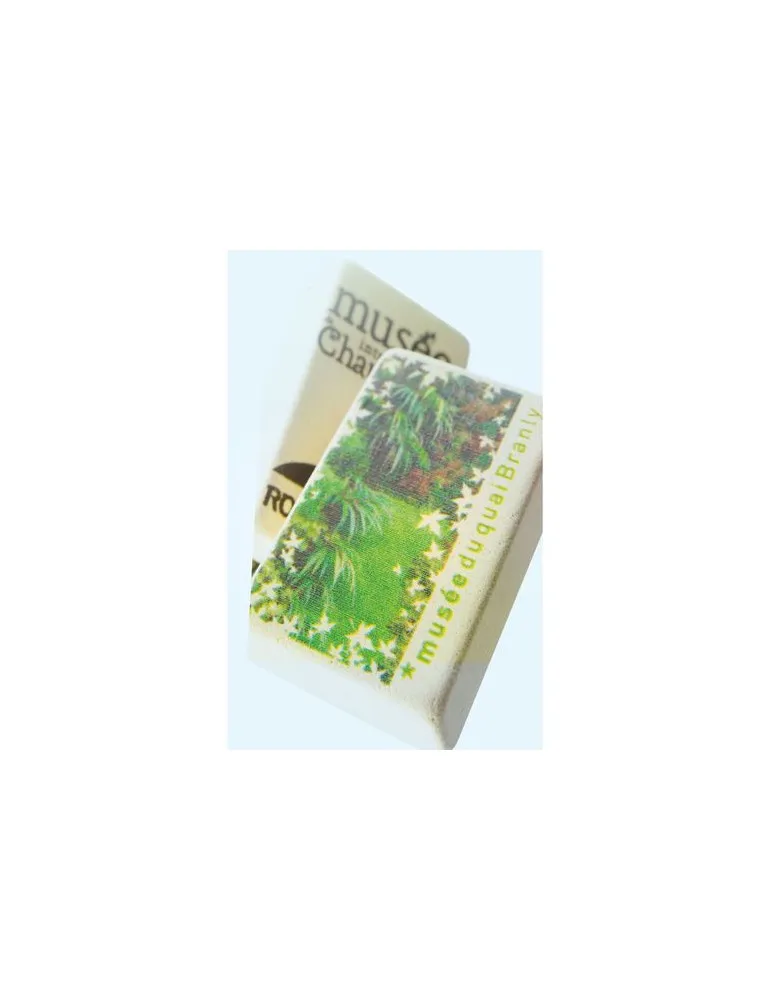 GOMME RECTANGULAIRE GM