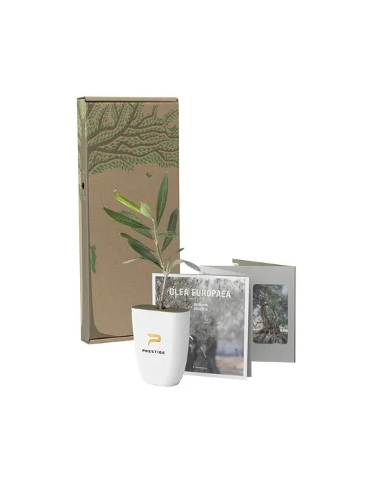 Treemore Arbres prêts-à-poster L'olivier