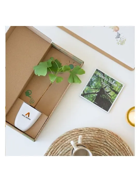 Treemore Arbres prêts-à-poster Arbre Noyer du Japon