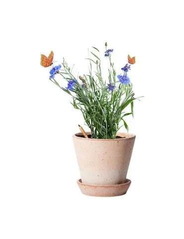 Sproutworld Unsharpened Pencil crayon non taillé 2