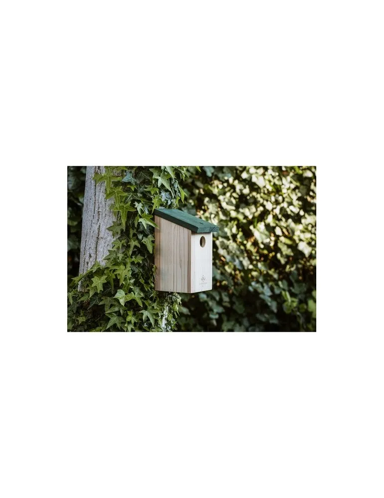 Birdhouse nichoir