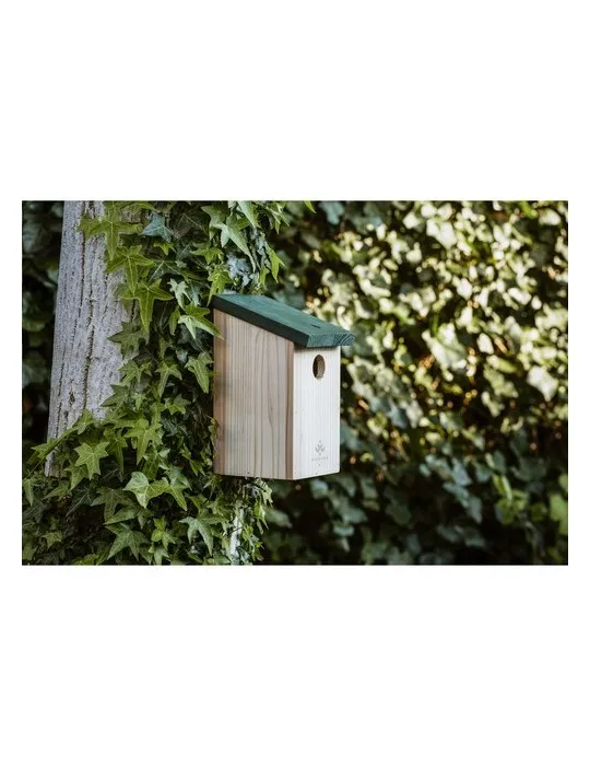Birdhouse nichoir