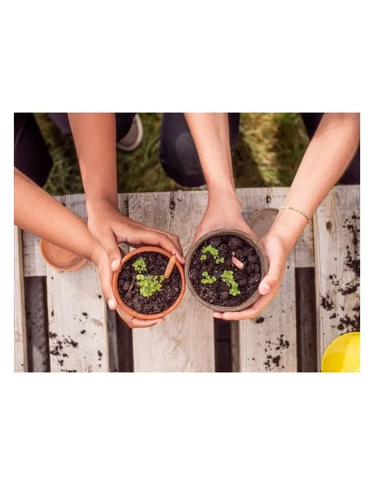 Sproutworld Sharpened Pencil crayon taillé