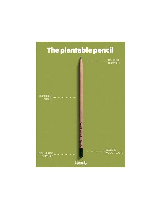 Sproutworld Sharpened Pencil crayon taillé