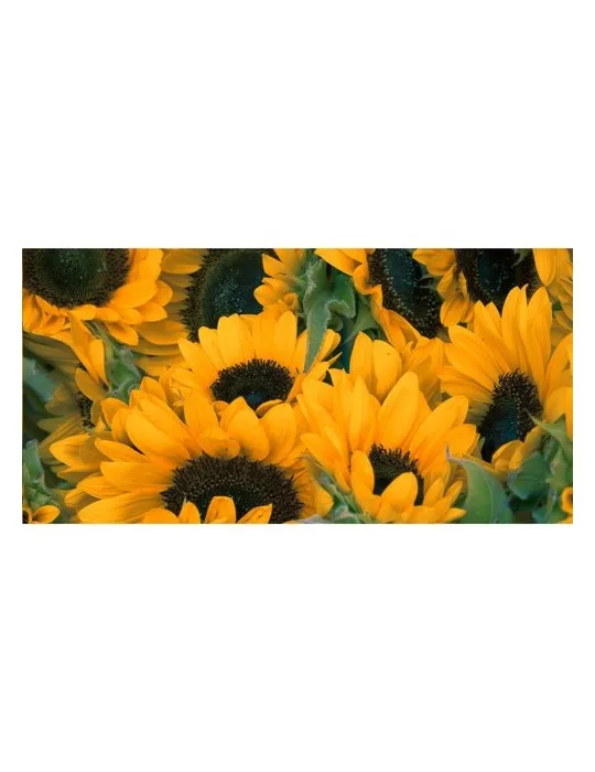 Sproutworld Sharpened Pencil crayon taillé