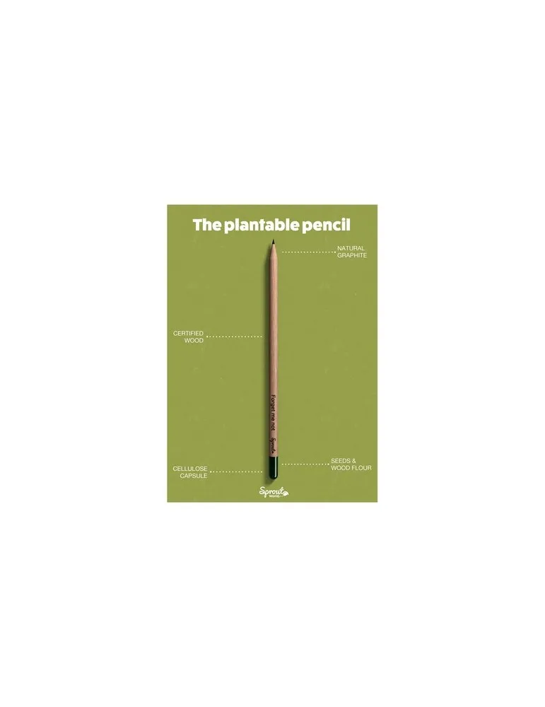 Sproutworld Sharpened Pencil crayon taillé