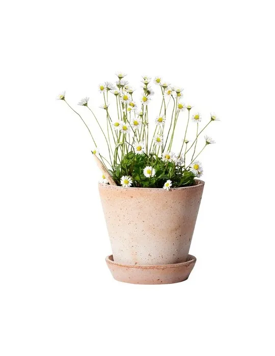 Sproutworld Sharpened Pencil crayon taillé