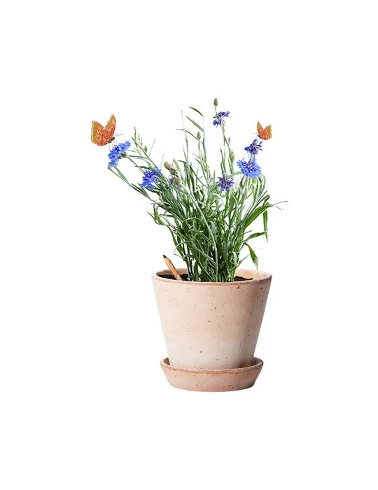 Sproutworld Sharpened Pencil crayon taillé