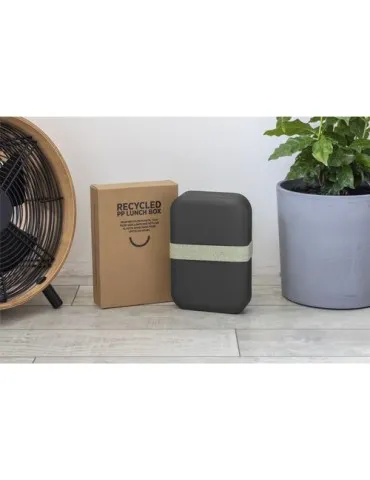 Amuse Recycled PP Lunch Box Large