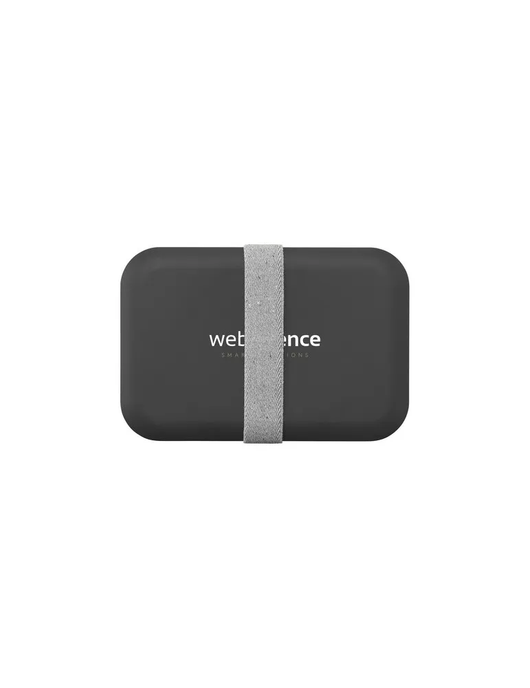 Amuse Recycled PP Lunch Box Large