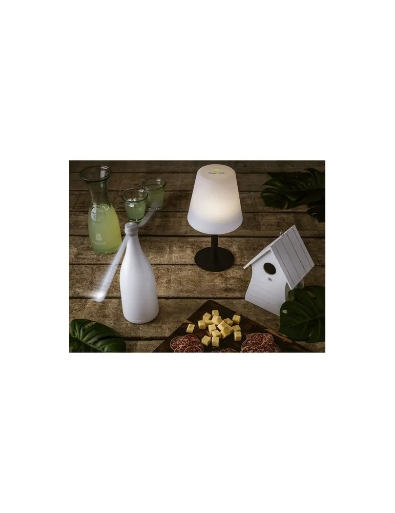Gusta Lampe de table solaire
