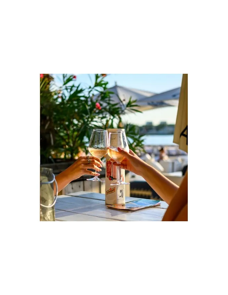 HappyGlass Lady Abigail Verre à Vin Tritan 470 ml