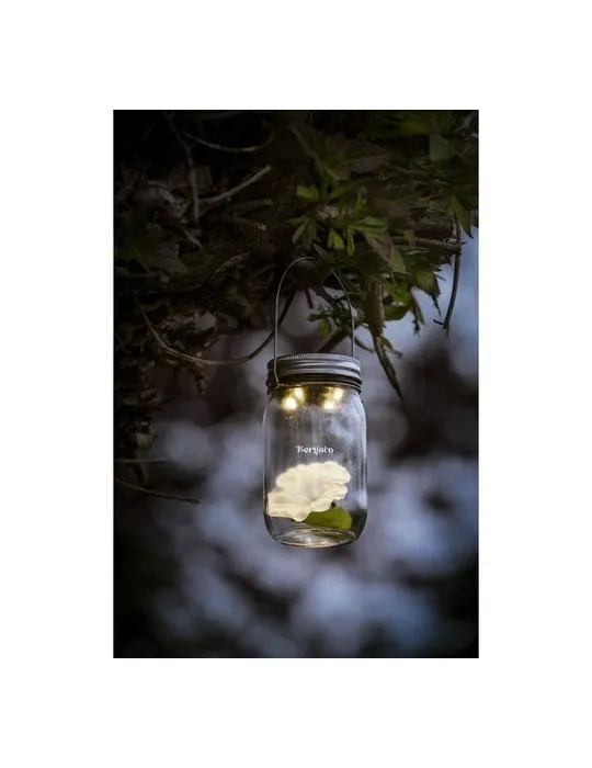 SunJar Solar Garden Light lampe solaire