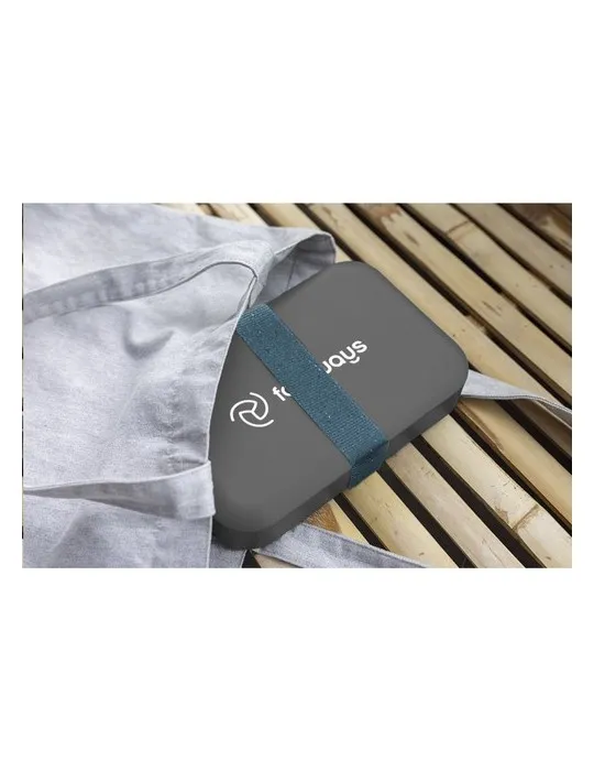 Amuse Recycled PP Lunch Box