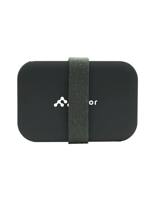 Amuse Recycled PP Lunch Box