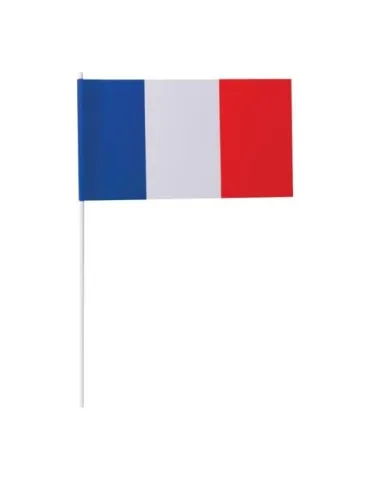 Petit drapeau France