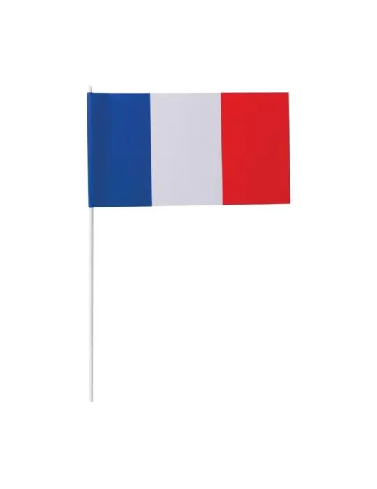Petit drapeau France