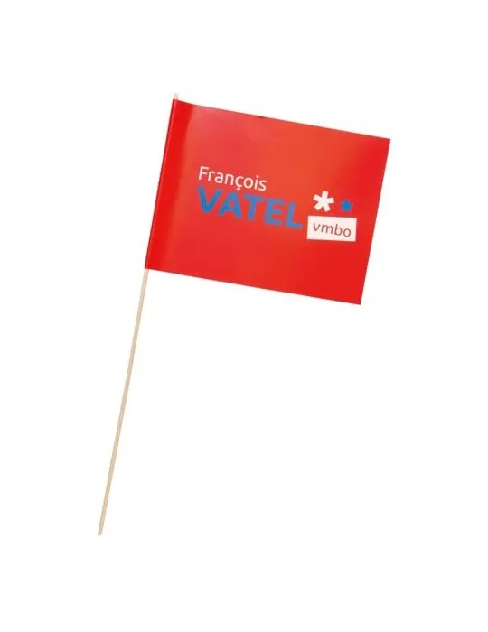 Petit drapeau en papier 20x15cm