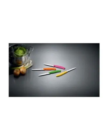 Victorinox Swiss Classic couteau de table 2