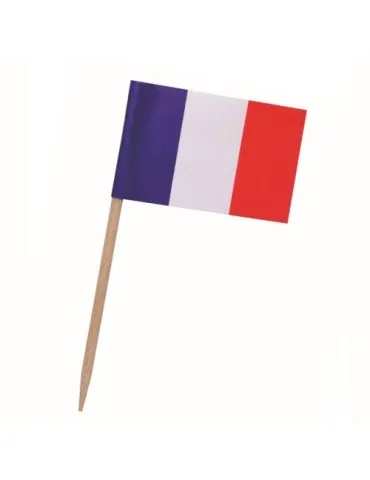 Pique drapeau France