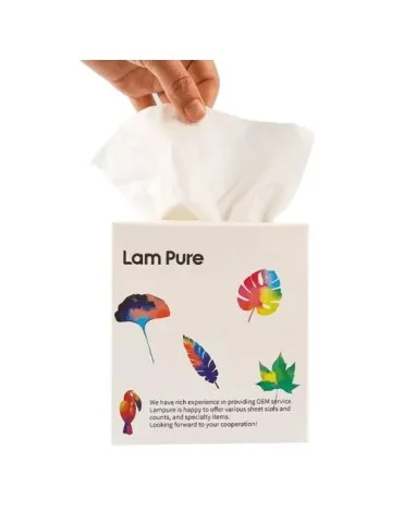 Boîte de mouchoirs cube 2