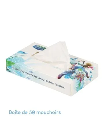 Boîte de mouchoirs classique 2