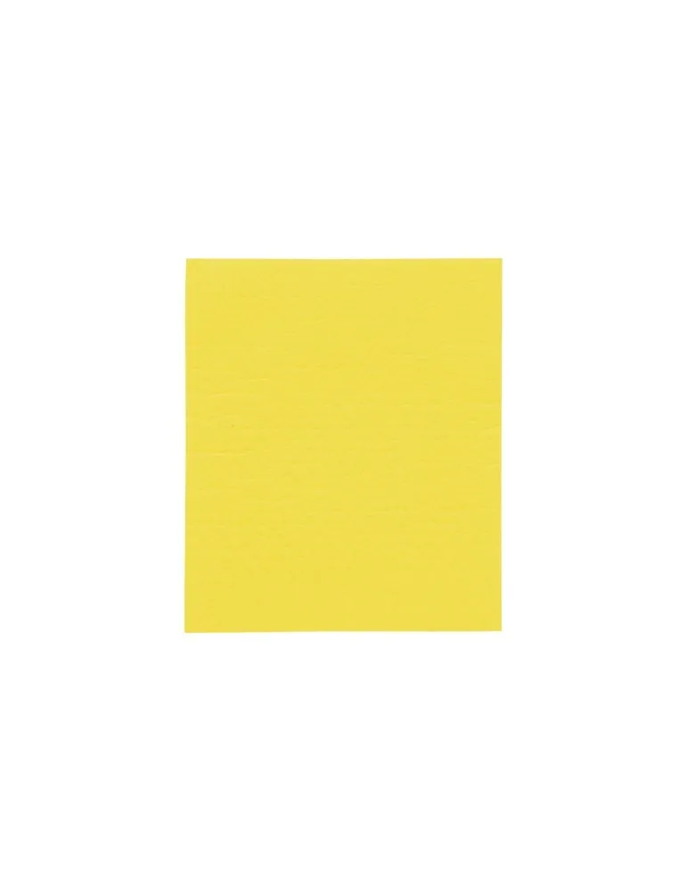 Swedish Dish Cloth lavette