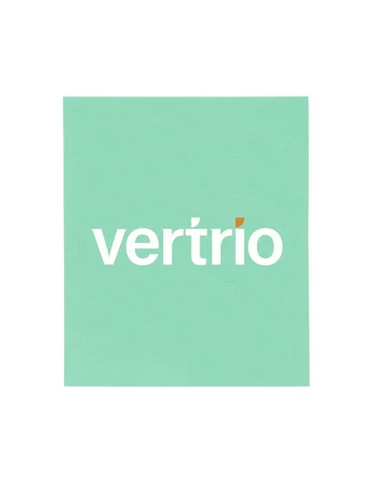 Swedish Dish Cloth lavette