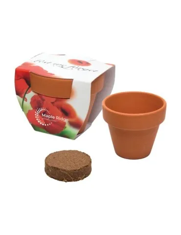 Growing Kit with Sleeve