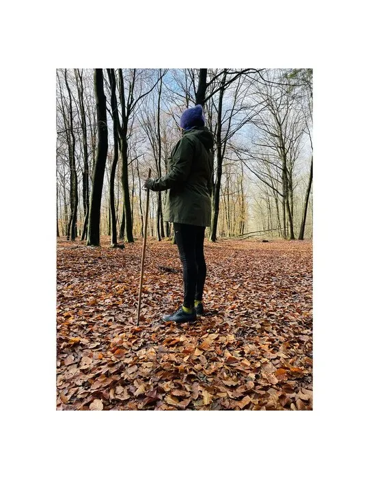 CleanWalk Walkingstick bâton de marche