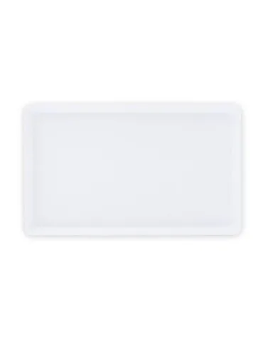 MINI PLATO 25X15X2 CM (IML) 2