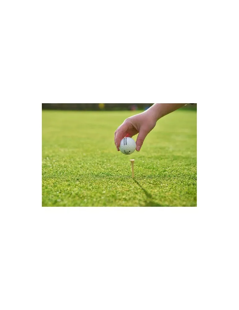 Ensemble de tees de golf en bois Nyssa