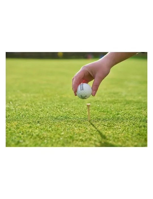 Ensemble de tees de golf en bois Nyssa