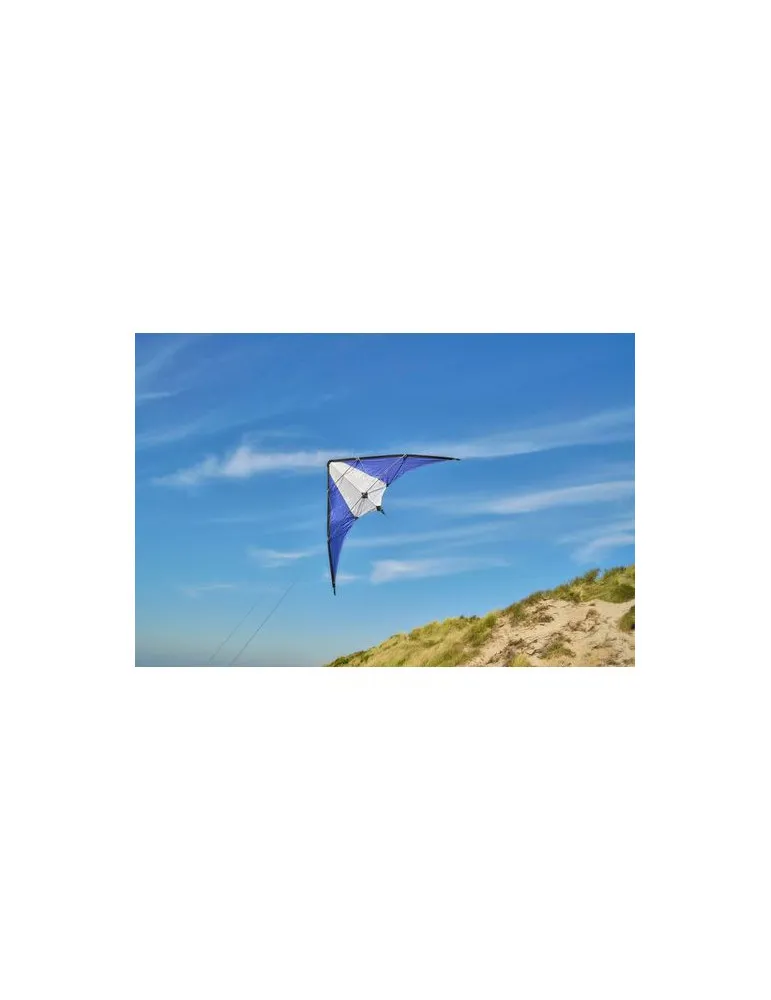 Cerf-volant delta en polyester ripstop 210T Lirien