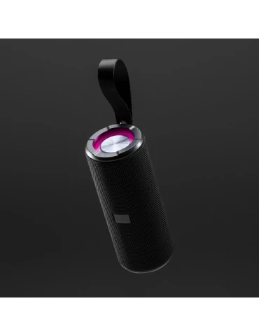 enceinte multifonctions