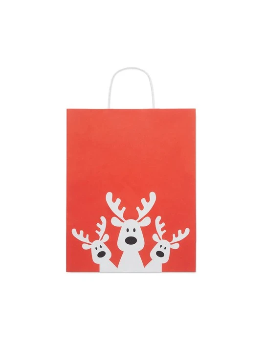 BAO LARGE Sac cadeau grand format