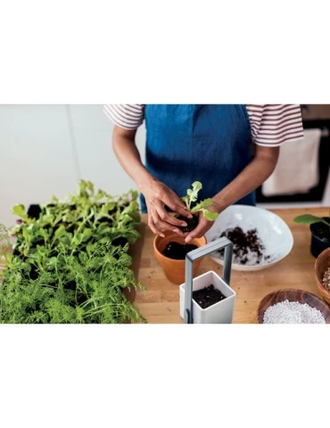 LUSHLET Jardin intérieur éclairage LED 2