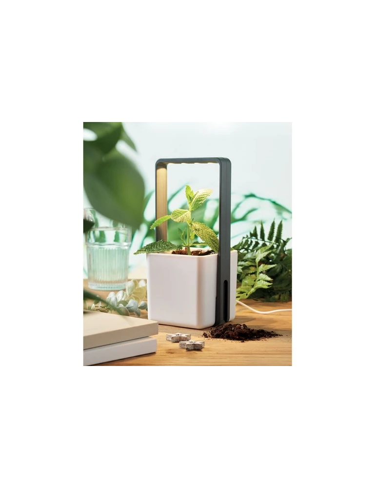 LUSHLET Jardin intérieur éclairage LED