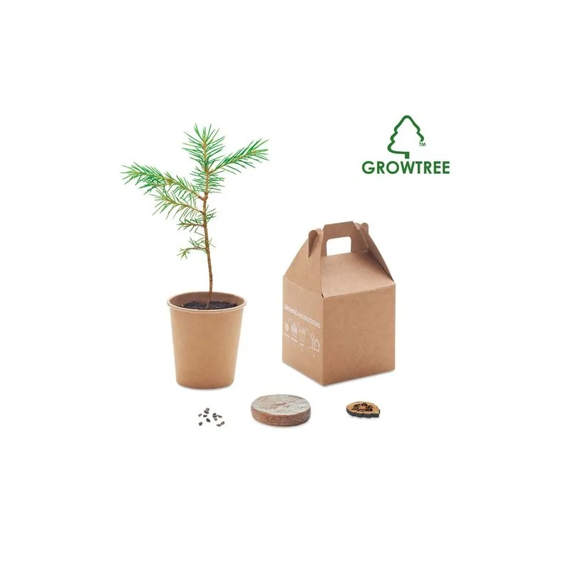 Set de graines GROWTREE™ - Offrez un arbre unique