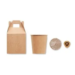 Set de graines GROWTREE™ - Offrez un arbre unique 2