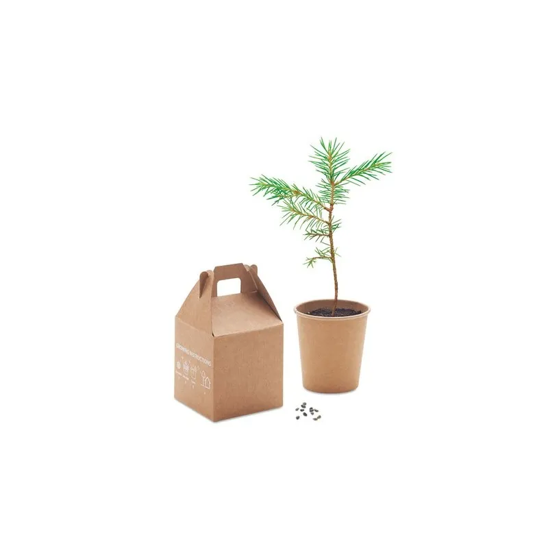 Set de graines GROWTREE™ - Offrez un arbre unique