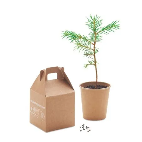 Set de graines GROWTREE™ - Offrez un arbre unique