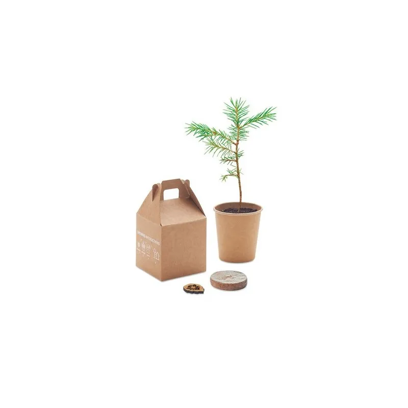 Set de graines GROWTREE™ - Offrez un arbre unique