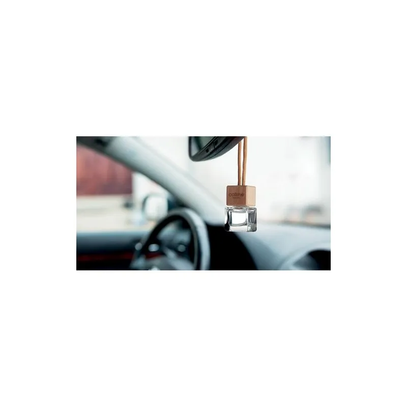 Désodorisant pour voiture FRESH AIR