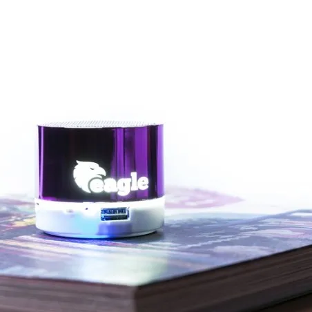 Haut-Parleur Viancos : Design et Performance