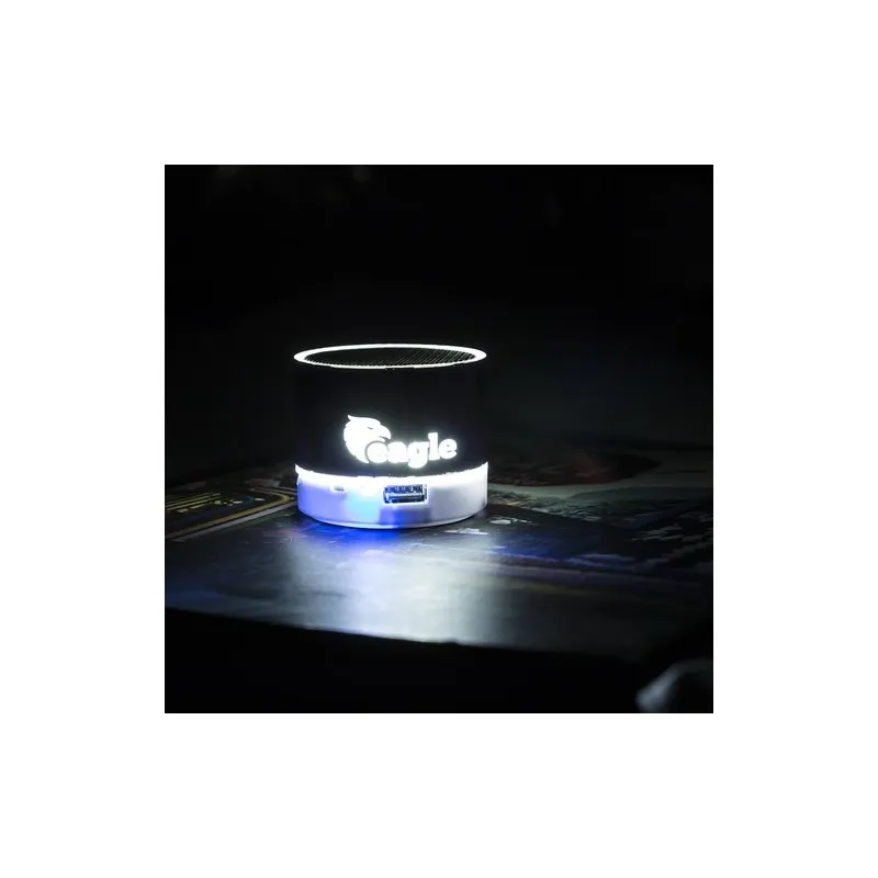 Haut-Parleur Viancos : Design et Performance