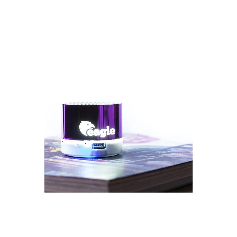 Haut-Parleur Viancos : Design et Performance