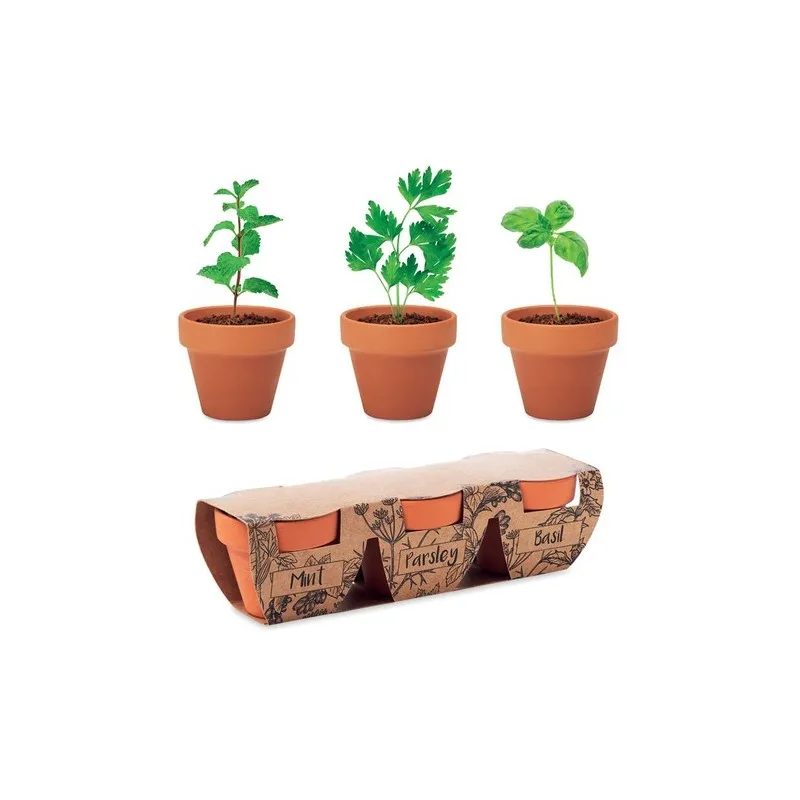 Ensemble de 3 Pots en Terre cuite pour Herbes Aromatiques