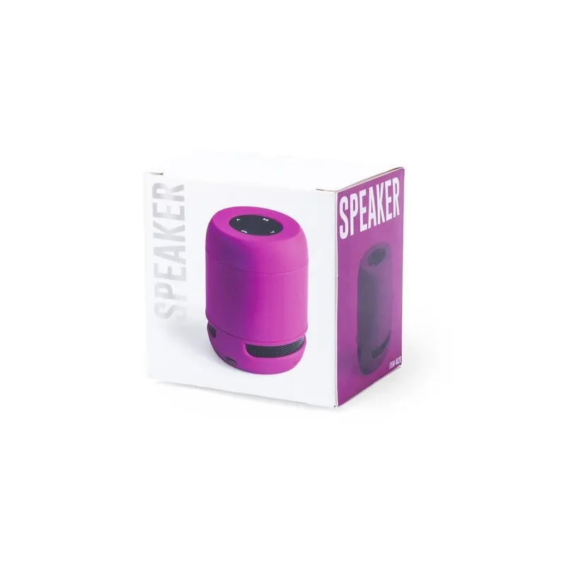 Haut-Parleur Braiss : Compact et Puissant