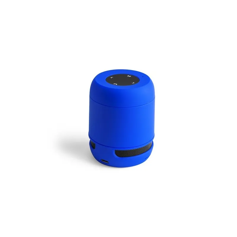 Haut-Parleur Braiss : Compact et Puissant